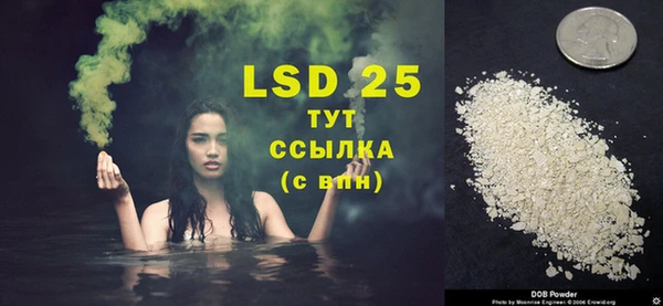 шишки Бронницы