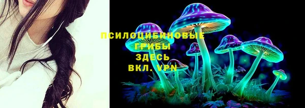 прущая мука Бугульма