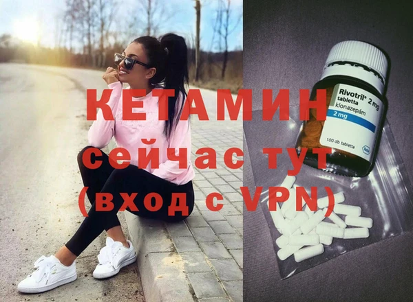 прущие грибы Бородино