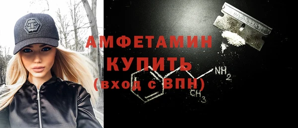 прущие грибы Бородино