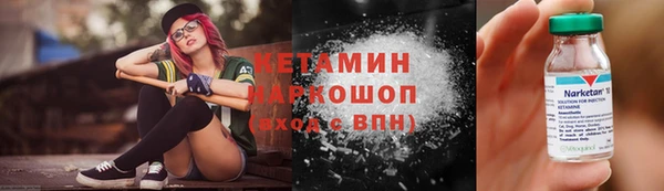 прущие грибы Бородино
