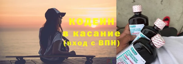 прущие грибы Бородино