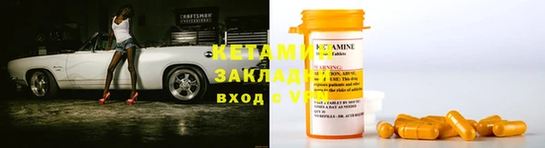 прущие грибы Бородино