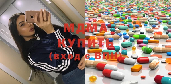 прущие грибы Бородино