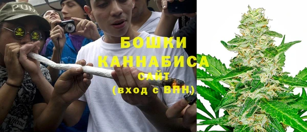 прущие грибы Бородино