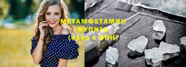 прущие грибы Бородино