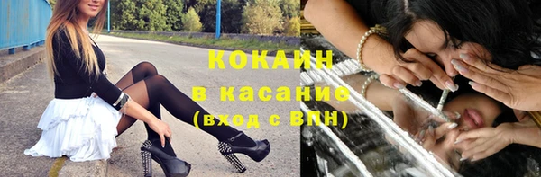 шишки Бронницы