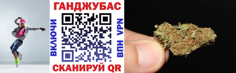 Купить где  Красный Кут  Канабис сатива 